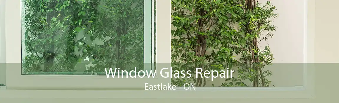 Window Glass Repair Eastlake - ON